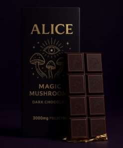 Alice Mushroom Chocolate